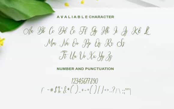 Royallisa Calligraphy Font Image 3