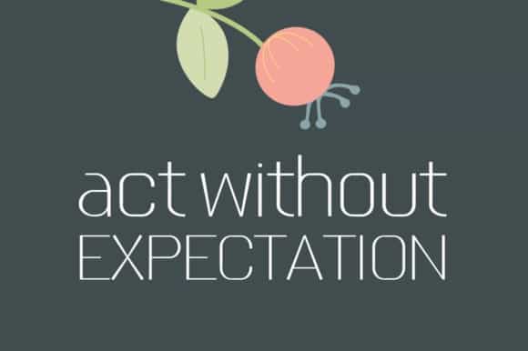 Donne Modern Sans Font Image 3