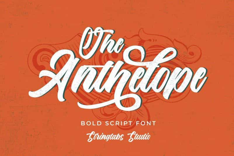 The Anthelope Retro Script Font Image 1