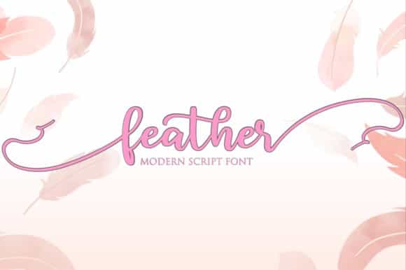 Feather Modern Script Font Image 1