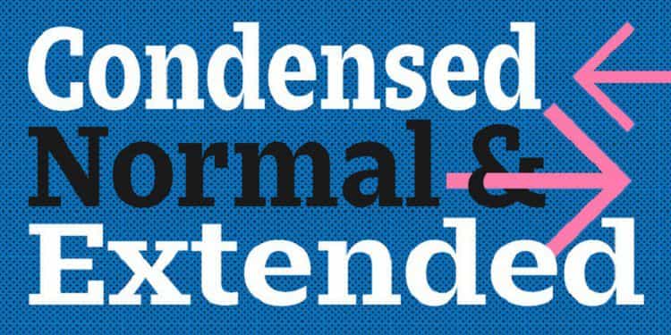 Zin Slab Font Family Image 3