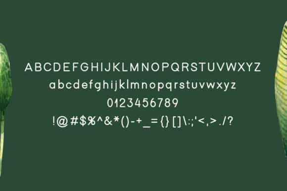 Winter Sans Serif Font Image 3