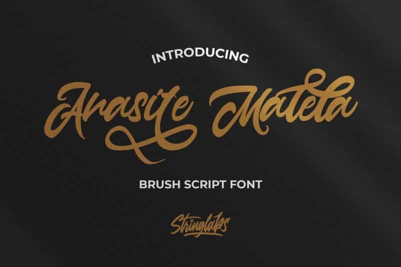 Anasite Malela Bold Script Font Image 1