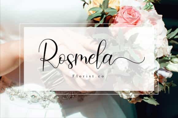 Amadea Modern Calligraphy Font Image 3