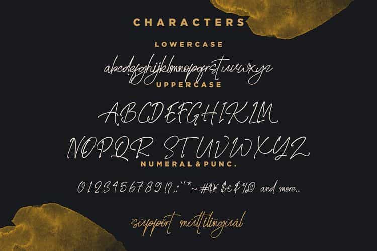 Golden Stanbury Font Duo Image 3