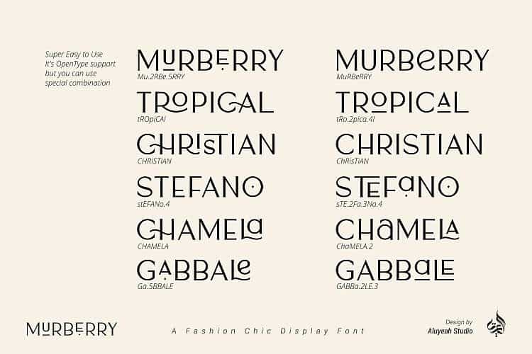 AL Murberry Display Font Image 2