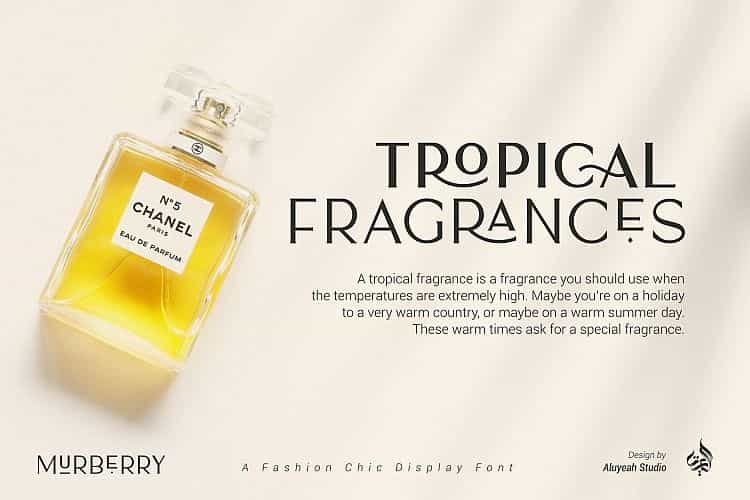 AL Murberry Display Font Image 3