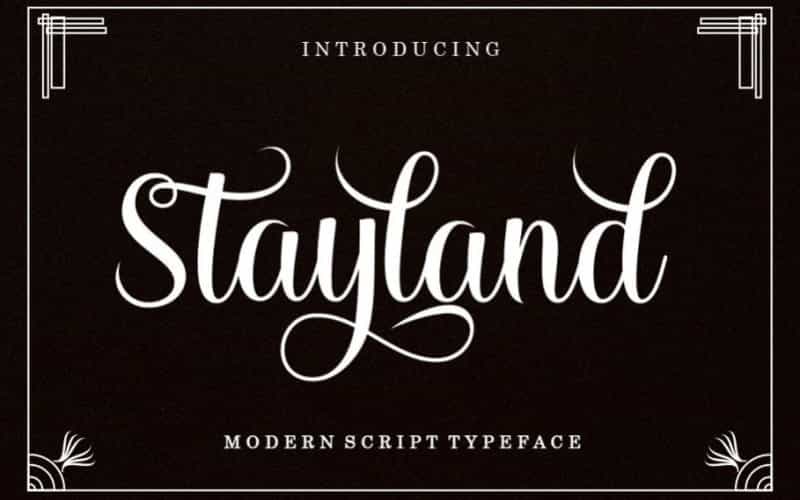 Stayland Calligraphy Font Image 1