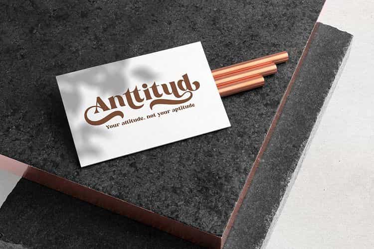 Reikna Classy Bold Serif Font Image 2