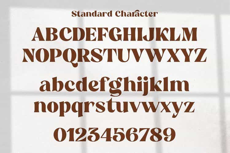 Reikna Classy Bold Serif Font Image 3