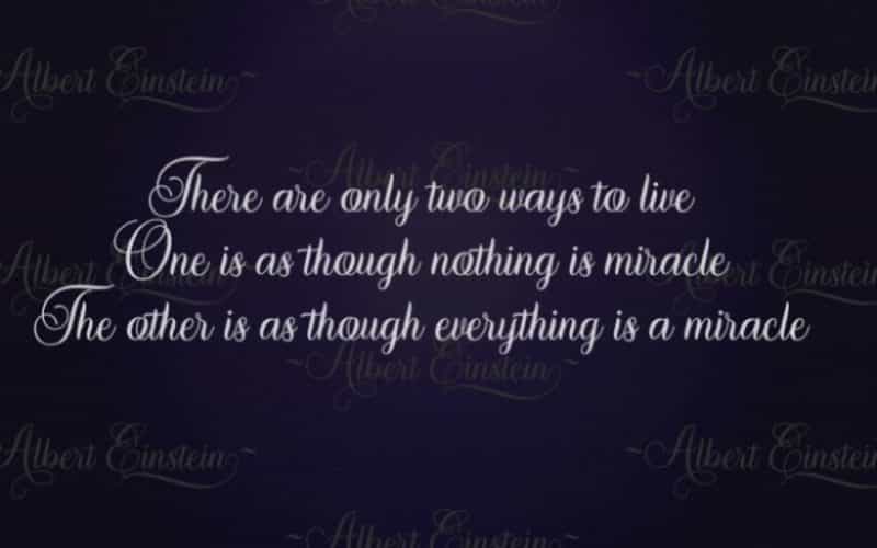 Marchanda Calligraphy Font Image 3