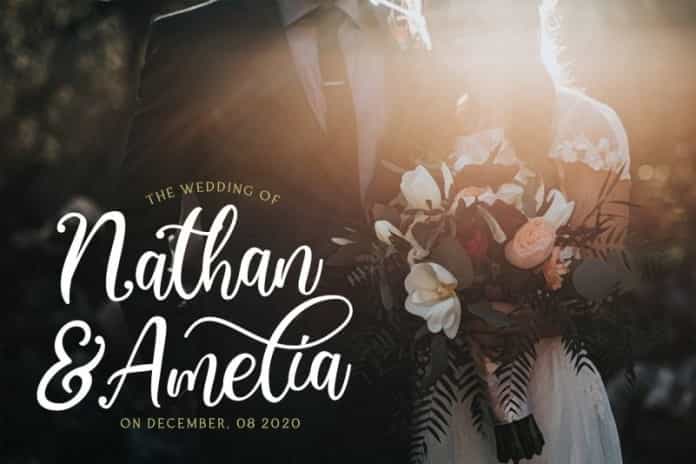 Virgiluna Modern Calligraphy Font Image 3