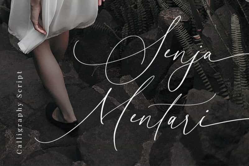 Senja Mentari Modern Script Font Image 1