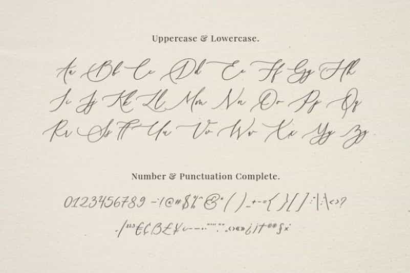 Senja Mentari Modern Script Font Image 3