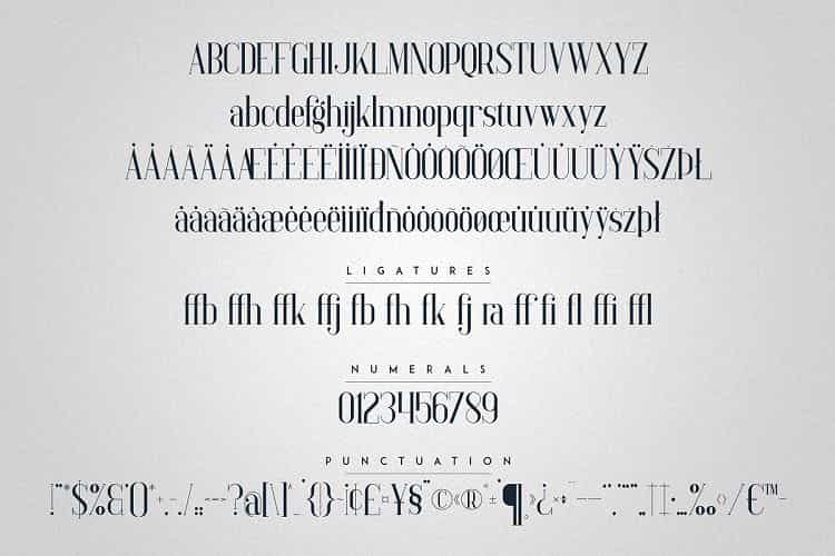 Baleine Serif Typeface Image 3