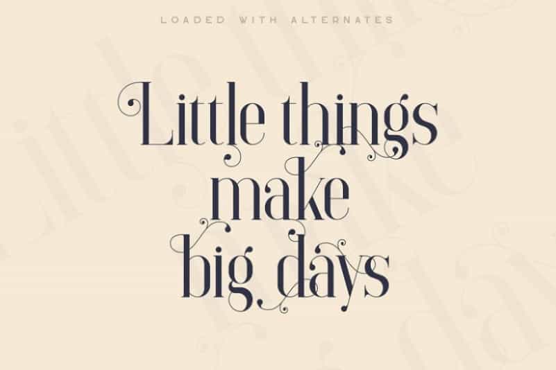 Elysian Serif Font Image 2
