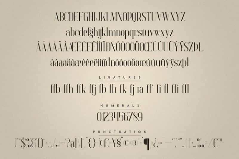 Elysian Serif Font Image 3