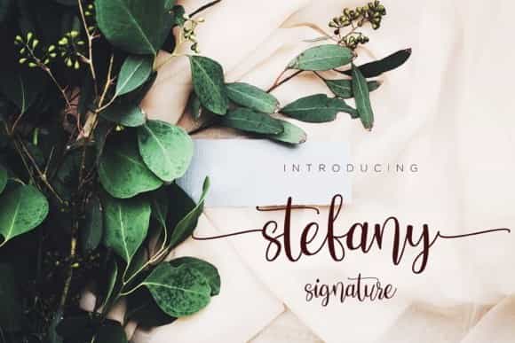 Stefany Calligraphy Font Image 1