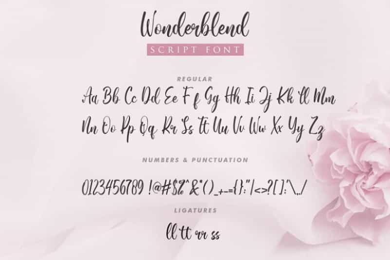 Wonderblend Calligraphy Font Image 3