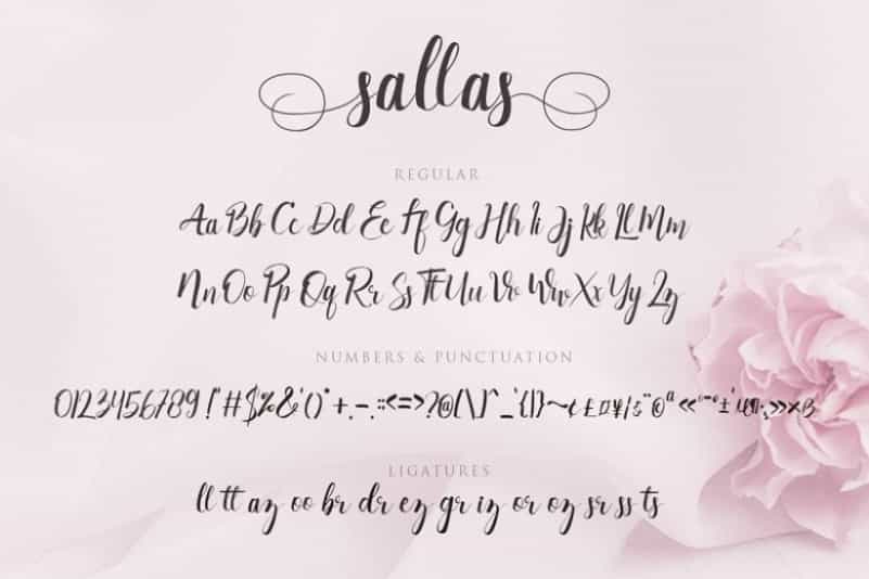 Sallas Modern Calligraphy Font Image 3
