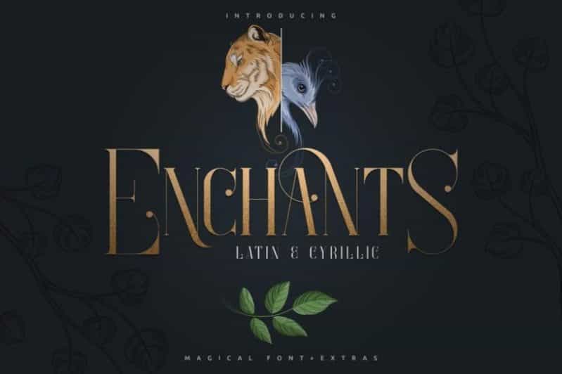 Enchants Magical Serif Font Image 1