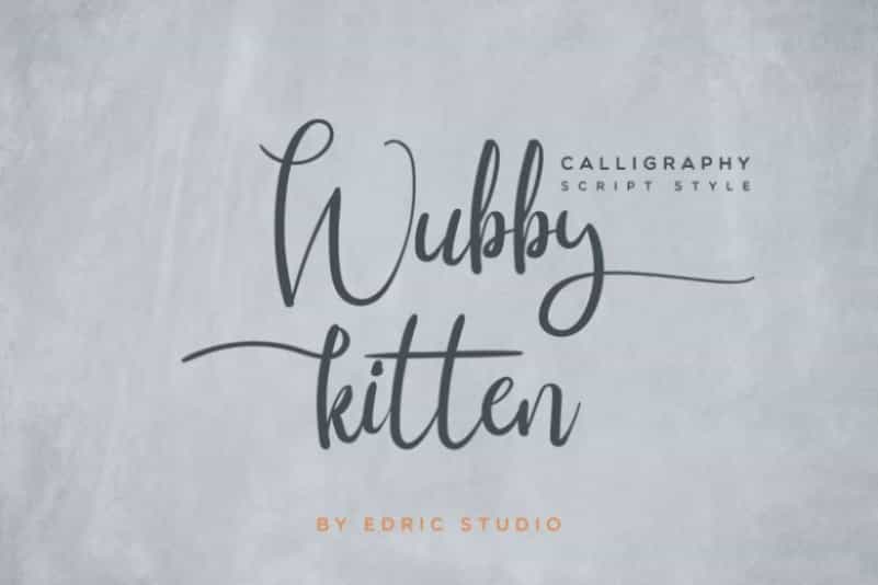 Wubby Kitten Calligraphy Font Image 1