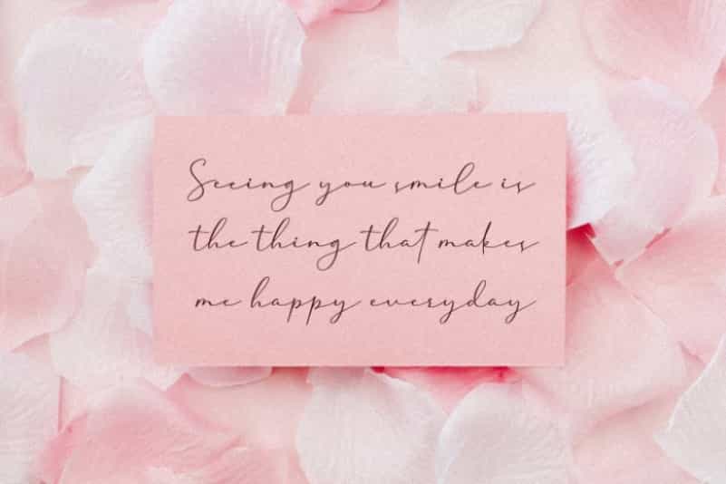 Cherolina Lovely Elegant Script Font Image 2