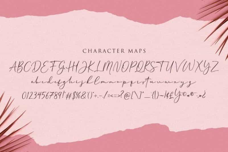 Cherolina Lovely Elegant Script Font Image 3