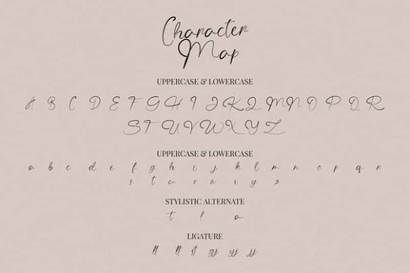 The Angellica Calligraphy Font Image 4