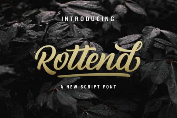 Rottend Script Font Image 1