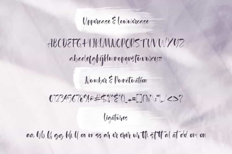 Agathe Ledden Brush Font Image 3
