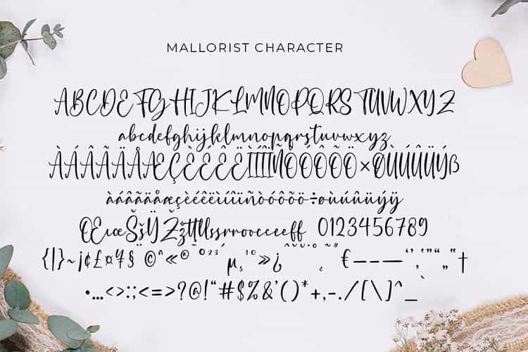 Mallorist Modern Calligraphy Font Image 3