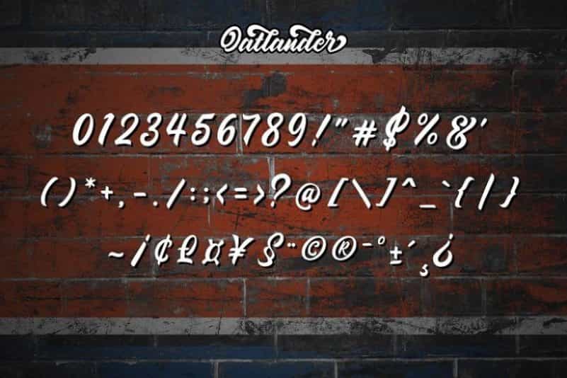 Oatlander Bold Script Font Image 4