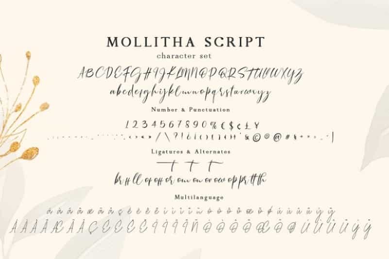 Mollitha Modern Calligraphy Font Image 3