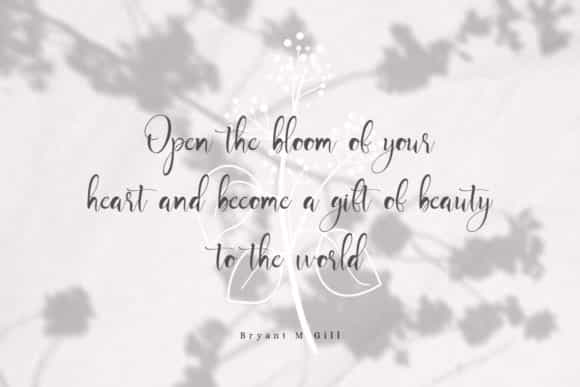 Mayla Script Font Image 3