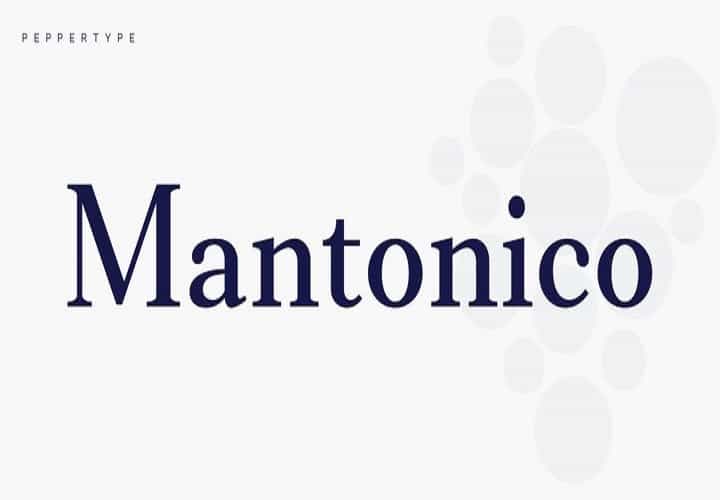 Mantonico Serif Font Family Image 1