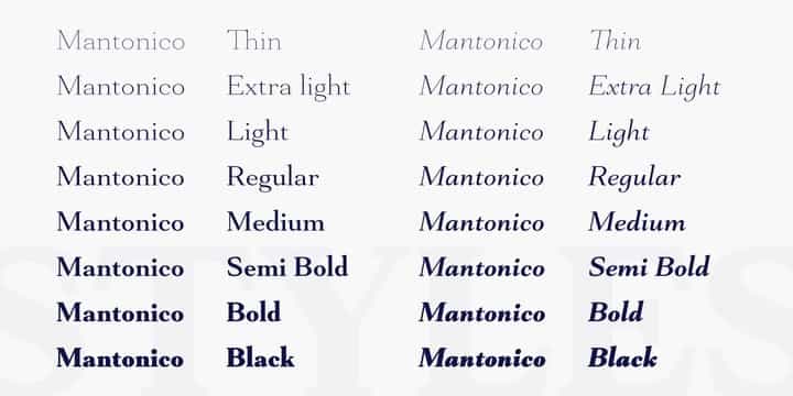 Mantonico Serif Font Family Image 2