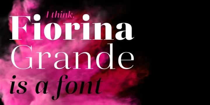Fiorina Serif Font Family Image 2