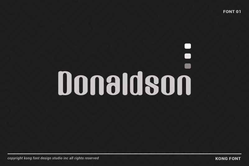 Donaldson Sans Font Image 1