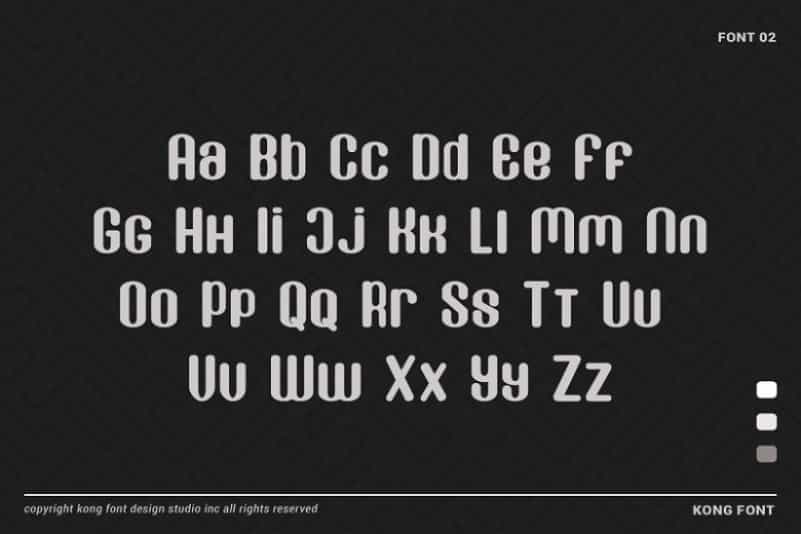 Donaldson Sans Font Image 3