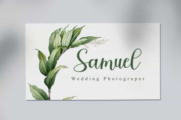 Luisha Modern Calligraphy Font Image 2
