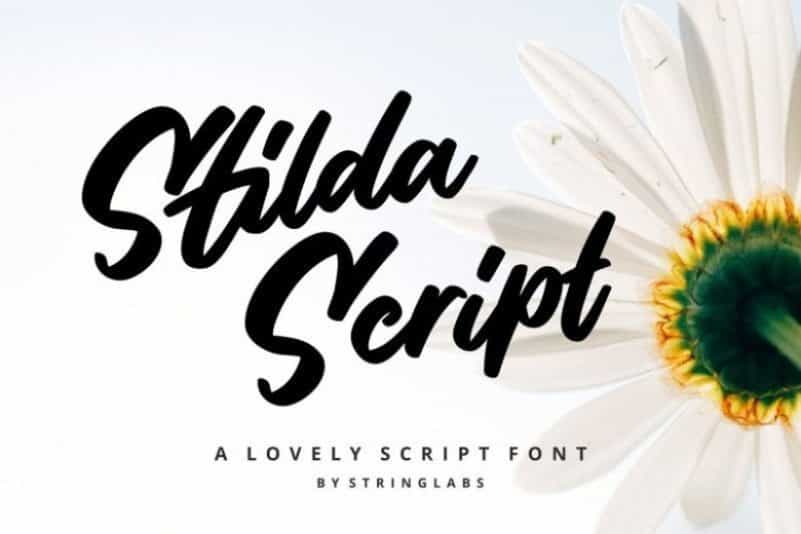 Stilda Lovely Script Font Image 1