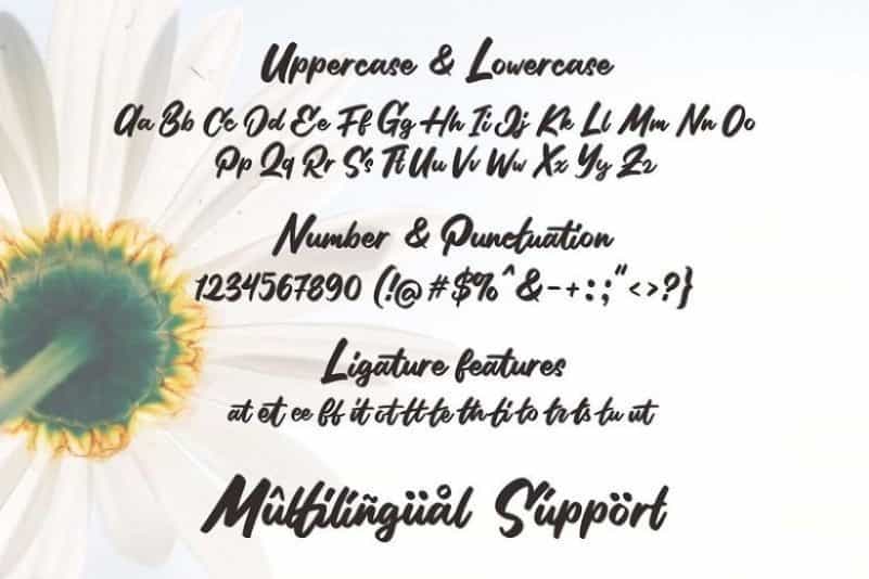 Stilda Lovely Script Font Image 3