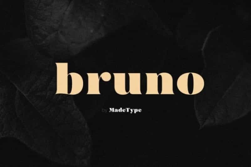 MADE Bruno Serif Font Image 1