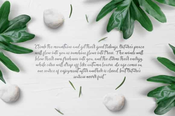 Fishtail Script Font Image 3