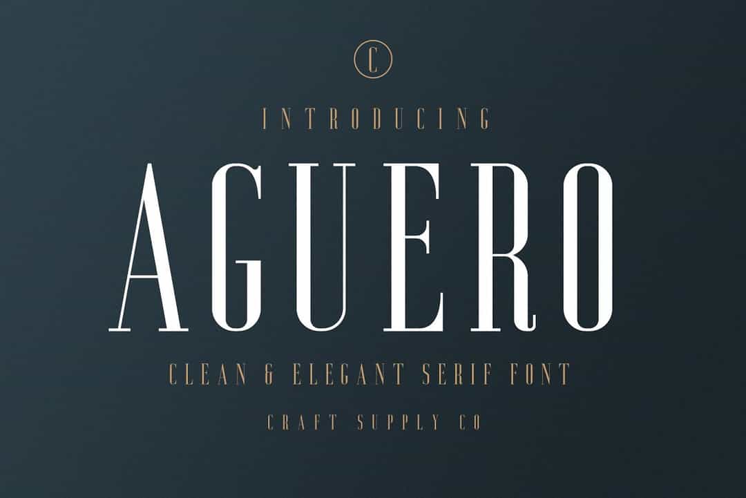 Aguero Serif Font Image 1