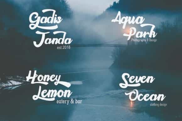 Gallant Script Font Image 2