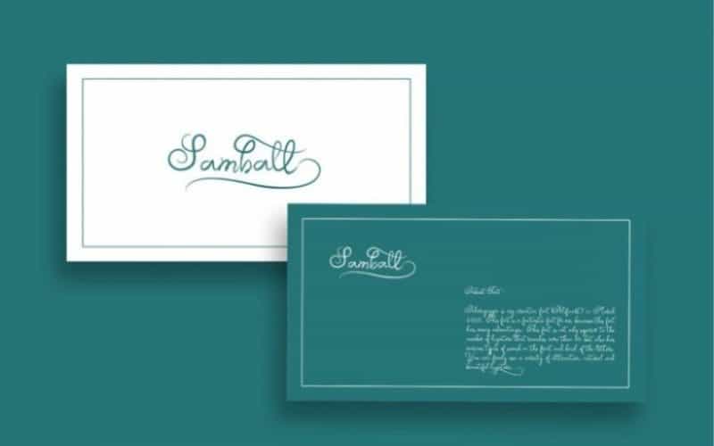 Samball Script Font Image 3