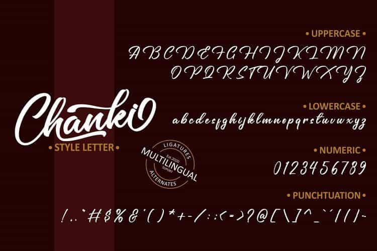 Chanki Calligraphy Script Font Image 3