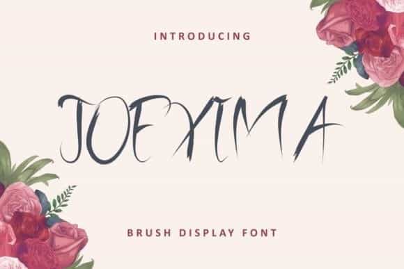 Joexima Brush Font Image 1